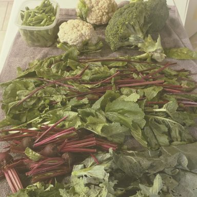 Fresh greens, broccoli, cauliflower, and chard arranged on a countertop.