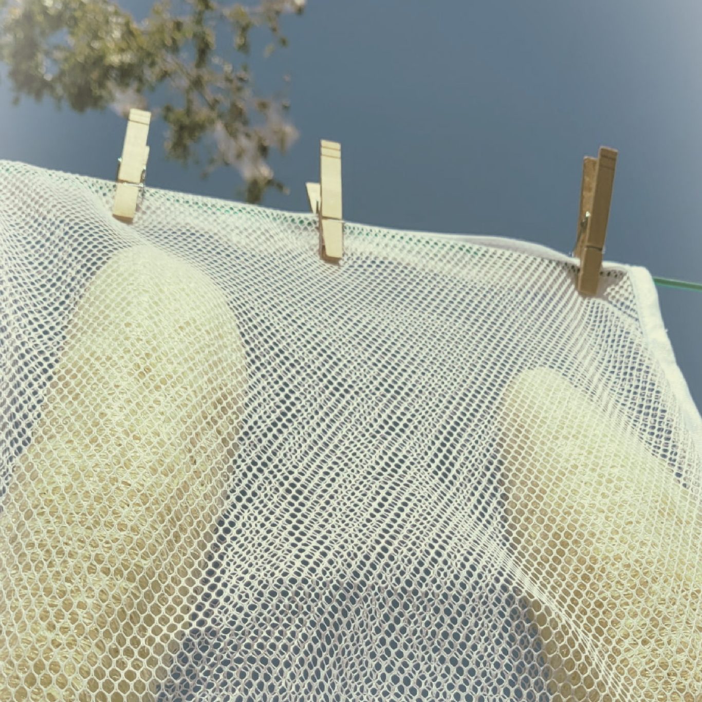 Lulu and GG's Grand Plan Foundation Loofahs drying hanging on a mesh net against a clear blue sky.